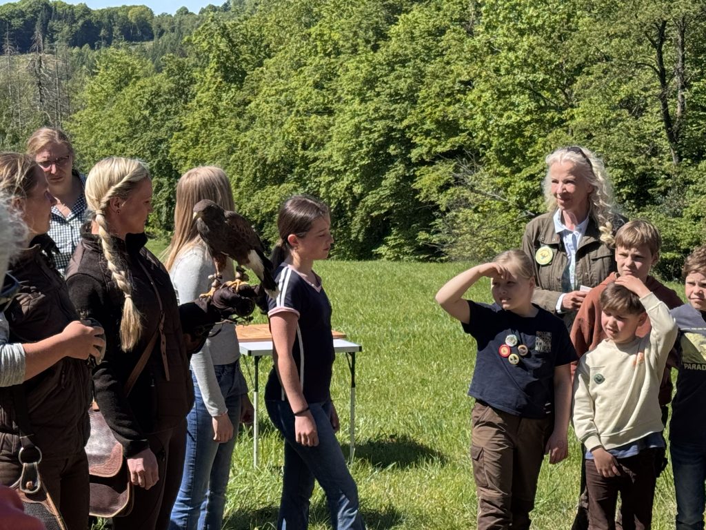 Veranstaltungen mit Greifvögeln