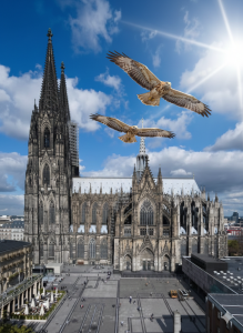 Vertreibung von Tauben und Krähen (Vergrämung) in NRW